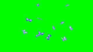 Butterfly New Green Screen Status /No Copyrighte