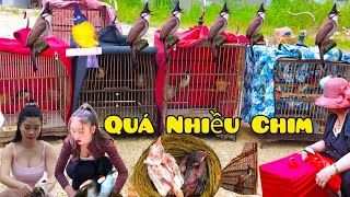 Chợ Chim Cảnh Lạng Sơn Phiên Đầu Tháng 02-7 Âm Lịch Quá Nhiều Chim Chào Mào Họa Mi