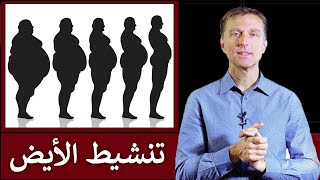 تنشيط الأيض لتسريع حرق الدهون - دكتور بيرج