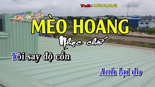 Phen này chắc chết - Mèo hoang  - Nhạc chế Bài số  79 - KARAOKE HD