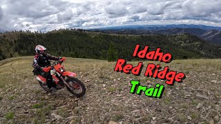 Idaho Red Ridge trail, old guys attempt