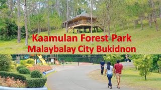 Kaamulan Forest Park Malaybalay City Bukidnon 2023