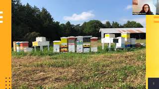 Alternative Hives in Nebraska