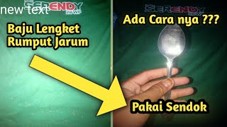 Cara Cepat Membersihkan Rumput Jarum Di Baju