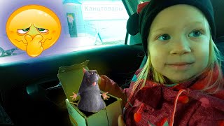 🐀VLOG:WE'RE GOING AFTER THE RAT🐀Is it really need? ВЛОГ: МЫ ЕДЕМ ЗА КРЫСОЙ 🐀Это действительно нужно?