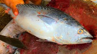 Cutting & Slicing Tuna Fish Into Pieces By Fisherman At Fish Market