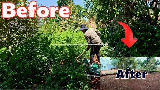 Clean Up The Overgrown Garden Like A Forest With Rudimentary Tools. Satisfying Transformation