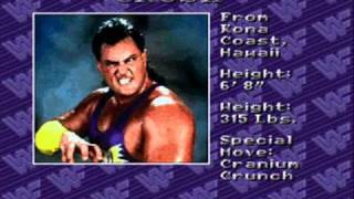 WWF Royal Rumble Roster Part 1