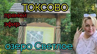 Ленинградская обл, Всеволожский р-н, озеро Светлое ! ПОБОЛТАЕМ О ПУТЕШЕСТВИЯХ!) Собралась в Баку!)🤩