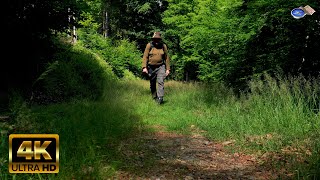 Outdoor Travel in Herbeumont Forest. Ardennes Belgium | 4K | July 2023