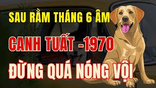 Tử vi tuổi Canh Tuất Sinh năm 1970 Sau rằm tháng 6 Âm lịch. Đừng nóng vội kẻo xôi hỏng bỏng không