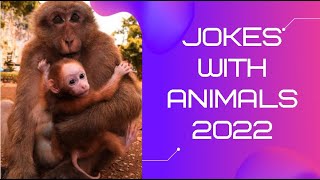 Jokes with animals 2022