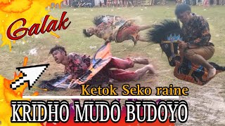 kuda lumping reog galak NJEPAT KMD // Jaran wae ISO sempal Langensari KRIDHO MUDO BUDOYO