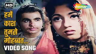 हमें काश तुमसे मोहब्बत | Hamein Kash Tumse Mohabbat | Mughal-E-Azam (1960) | Lata Mangeshkar