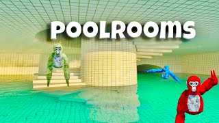 Monkes Are In The Pool Rooms! [Bad Tag]