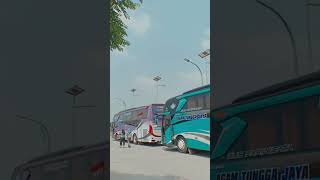 Warna warni BUS AGAM TUNGGA JAYA #videobusindonesia #busindonesia  #agamtunggajaya  #shots