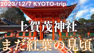 【外国人観光客も知らない京都】12/7 上賀茂神社を歩く、まだまだ紅葉の見頃！