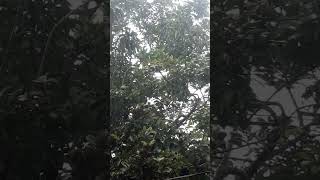 Hujan Di Siiang hari. / its rain #hujan #shortvideo #rain #berdoasaathujanturun