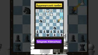 Telegram: Albinachess #chess #шахматы #chorts