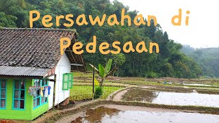 Jalan-Jalan di Persawahan saat Gerimis | 4K