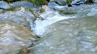 Mind Relaxing Nature Sound - The Beauty of the Clean White River Water Flow #relaxing