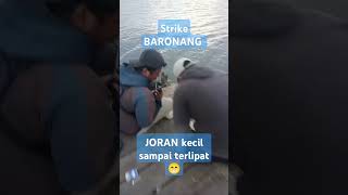 ikan mahal enak sekali tarikannya om. #shorts #mancing #fishing