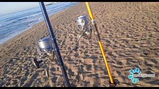 DAIWA PROTEUS SURF S 33 Y DAIWA PRIME CASTER S33 JORNADA NOCTURNA TORREMOLINOS