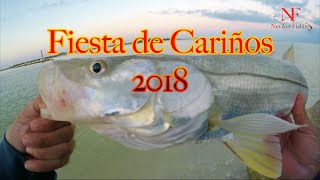 Fiesta de Cariños 2018