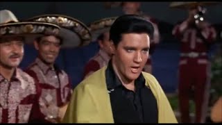 Elvis Presley - El Matador #elvismylife #elvispresley