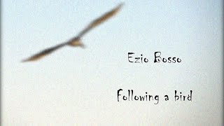 Ezio Bosso - Following a bird