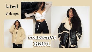 Try On Collective Haul Fall Clothing| Fashionnova, Asos, Zara | Michelle Danzinger