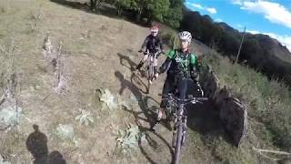 VTT Back to the Woods