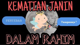 Kematian Janin Dalam Rahim-Penyebab & Kenali Gejalanya