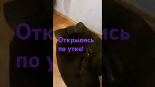 После первой охоты в сезоне!