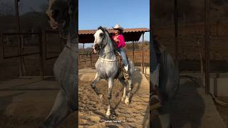 Beautiful girl and dancing horse🤍|دختر زیبا و اسب رقاص🤍#animals #horse #girl #dance #حصان #اسب #دختر