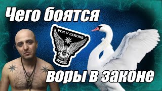 Чего боятся воры в законе