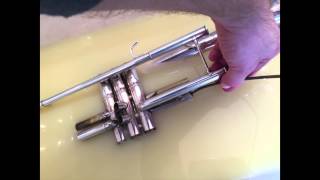 Best Way to Clean Your Trumpet (with Lemon Juice)