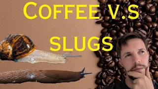 Does Coffee Deter Slugs and Snails? Testing Its Effectiveness in Protecting Your Garden