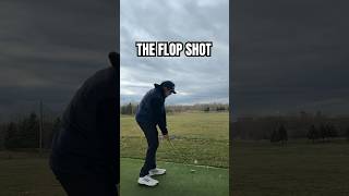 Practicing challenging shots is something i need to do more of! #flopshot #golf #shorts