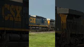 Csx I044 in Plant City, FL (Ft. YN3C C40-9W 9031)