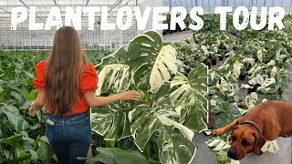 PlantLovers Greenhouse Tour! Giveaway Trip | Variegated Monstera Growers | House Plant Tour