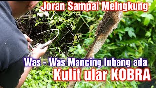 🔴MANCING LUBANG DI SARANG ULAR KOBRA WAS-WAS DAN HARUS HATI -HATI#mancinglele #ularkobra