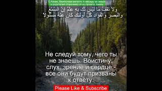 Коран Сура Аль Исра | 17:36 | Чтение Корана с русским переводом | Quran Translation