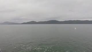 A whale watching cruise in Alaska