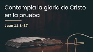 Contempla la gloria de Cristo en la prueba・Juan 11.1–37 [Tan Molina]