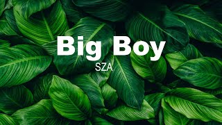 Big boy | SZA | Moonlight | Lyrics