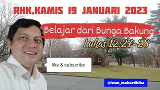 RHK, Kamis 19 Januari 2023/ Belajar dari Bunga Bakung/ Lukas 12:27-28