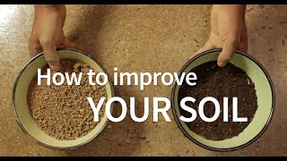 How to improve your soil