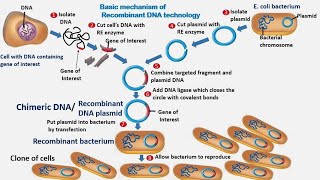 Recombinant DNA technology. Molecular biology # 11