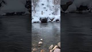 Utah’s rivers are awesome 🥰 #youtube #youtubeshorts #meme #funnyvideo #funny #fyp #river #fish ￼